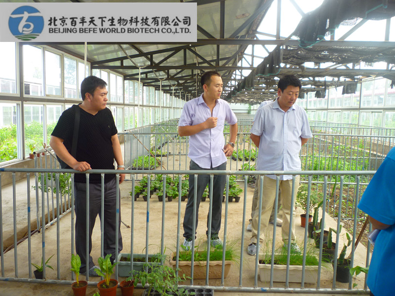 中国农村教育发展中心相关领导莅临百丰农场指导考察