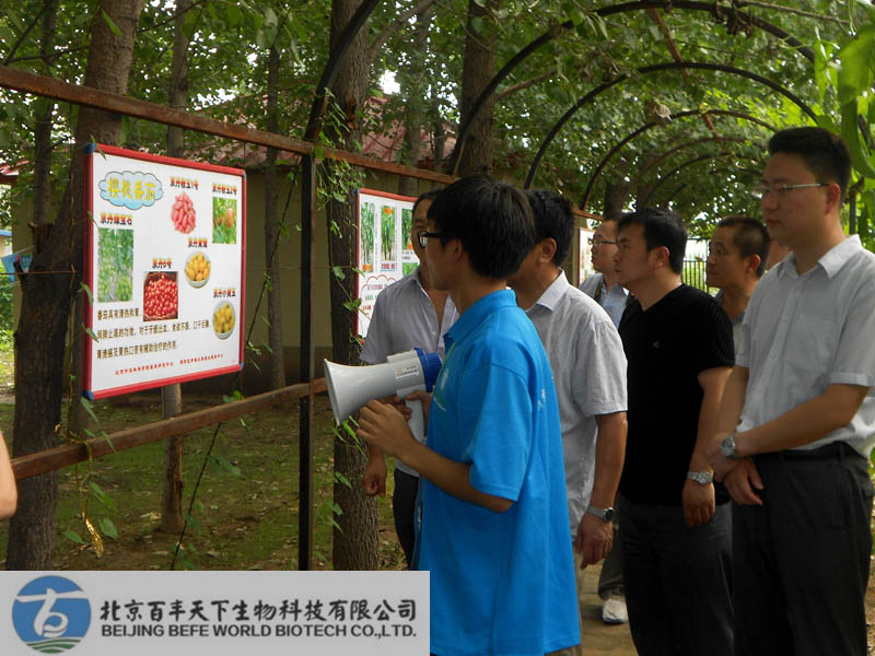 中国农村教育发展中心相关领导莅临百丰农场指导考察